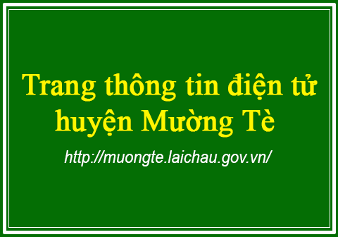 Đấu giá quyền sử dụng đất ở đô thị tại thị trấn Mường Tèhuyện Mường Tè, tỉnh nỗ hũ online
